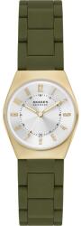 Skagen SKW3034 Ceas