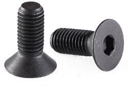  SÜLLYESZTETT FEJŰ DIN7991 M8*45mm belsőkulcsnyílású metrikus natúr 10, 9 (200db/dob) (53788)