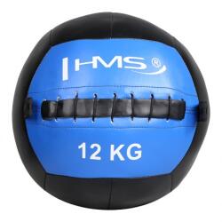 HMS Wall Ball Labda 12 kg