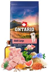 ONTARIO Adult Large Fish & Brown Rice 12 kg - abc-zoo