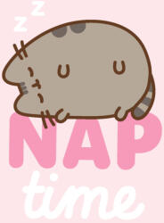 Carbotex Pusheen Nap Time flanel polár takaró 130x160cm CBX248004PTC (CBX248004PTC)