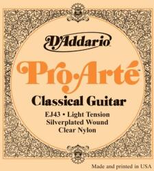 D'ADDARIO Ej-43