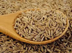 Paleolit Római köménymag egész 25kg lédig Cumin whole - paleocentrum