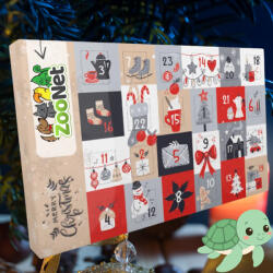  Adventi naptár vízi teknősöknek - Egyedileg összeállított ünnepi finomságválogatás