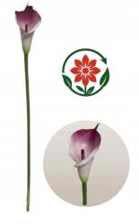 MartineX Calla Kalla Calia Kália Gumi Kiváló Minőségű 74cm műszár CAlle (Calla) - allegro - 850 Ft
