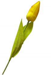 Virág Mesterséges Tulipán a száron 1db 30cm Váza, Pikk-pakk (#4)