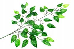 RAV Mesterséges levelek fikusz Benjamin - magasság 60 cm nád kompozíciók (GIRLA-nda)