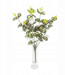 MartineX Műág Eukaliptusz Csokor nád kompozíció dekoráció U35-02 (GAŁAZKA eukaliptus u35-02)