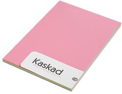 Kaskad Fénymásolópapír színes KASKAD A/4 80 g vegyes intenzív mix (22, 56, 64, 66, 94) 5X20 ív/csomag (08120)