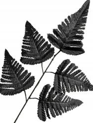  1x Műlevél Páfrány Fekete , Váll ág műfenyő (cf1-045dlg)