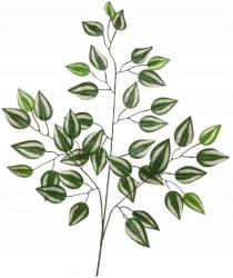  Műlevél Benjámin Fikusz Váll Zöld-Fehér Ág 63cm Gumírozott (s737-01)