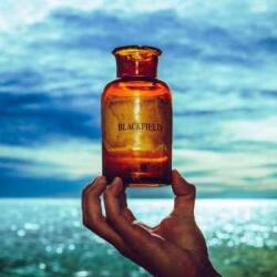 Kscope LP Blackfield: Blackfield V