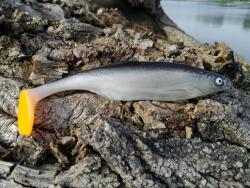 Sewro Custom Ragasztó fekete 17cm pata (ukleja17czarna)