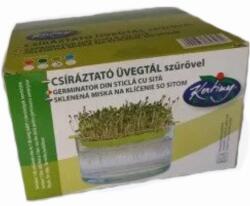 Rédei kertimag csíráztató üvegtál szűrővel csíramagok és mikrosaláta neveléséhez