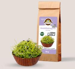 Oázis Metélőfokhagyma csíramag