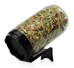 Oázis Csíráztató üvegedény (fekete)