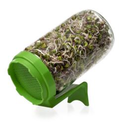 Oázis Csíráztató üvegedény (zöld)