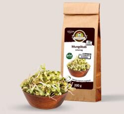 Oázis Mungóbab csíramag