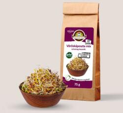 Oázis Vöröskáposzta mix csíramag