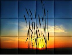 Kerma Design Búza KERMA-46 nyomtatott színes szintetikus műbőr falikép