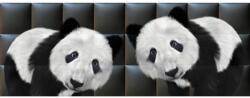 Kerma Design Black panda állatos 3d nyomtatott műbőr falvédő (200x75 cm), ágy mögé falburkolat
