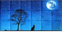 Kerma Design Éjszakai ég KERMA-83 hold éjszaka csillagok nyomtatott műbőr falikép