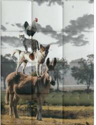 Kerma Design Kis Kedvencek KERMA-39 nyomtatott műbőr falikép