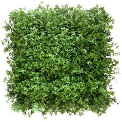  GD238 50x50 cm élethű műanyag zöldfal növényfal panel, műnövény falra