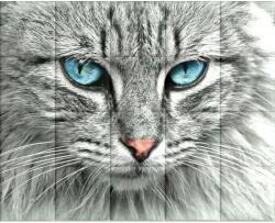 Kerma Design Macska KERMA-77 nyomtatott műbőr falikép