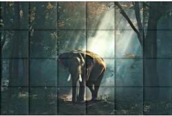 Kerma Design Elefánt KERMA-87 állat természet nyomtatott műbőr falikép