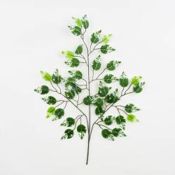 Műlevél Benjamin Fikusz Zöld ág nádhoz (6046 / S)