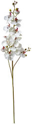 Clayre & Eef Orhidee artificiala alba 15x8x116 cm (5PL0170W)