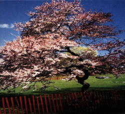 A Reminiscent Drive Mercy Street