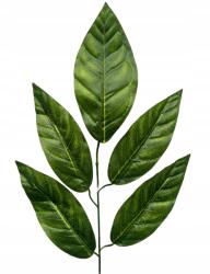 RAV Levelek gally kiegészítő levél díszítő csokor nád (GIRLA-nda)