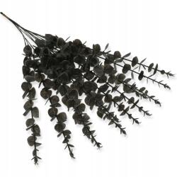 MartineX Eukaliptusz műág nád kompozíció dekorációFEKETE 1 db (Black GAŁAZKA eukaliptus)