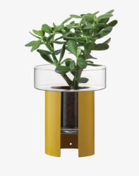  Terrazza virágcserép, m. 22 cm, Ø19 cm, átlátszó/mustár sárga Lsa internation (M004-22-007)