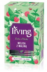 Irving Gyógynövény tea, citromfű málnával, filteres tea Irving 30 g (5907751485979)