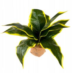 RAV Cserepes Virág 30cm Kalatea Cserépben Művirág Zöld (RAVkwiaty)