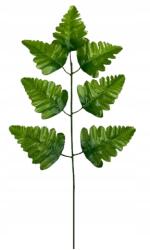 1x Műlevél Páfrány , Váll ág zöld műfenyő (cf1-045dlg)