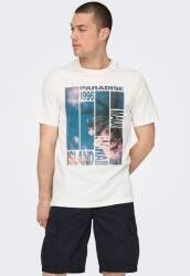 Only & Sons Only & Sons, Organikuspamut póló, Levendulakék, Törtfehér, Ametisztlila, 2XL (22029454-CLOUD-DANCER-ISLAND-XXL)