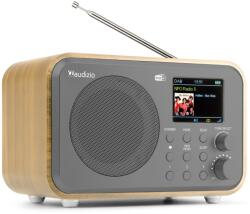 Audizio Milan akkumulátoros FM / DAB+ rádió 30W (Bluetooth) - Bambusz