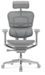 Antares ERGOHUMAN Elite II ergonomikus irodai szék, Szürke váz- szürke háló