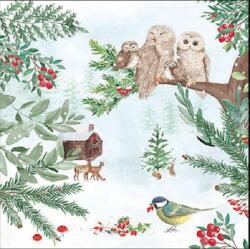 AMBIENTE Szalvéta 33x33cm 20db/csomag Winter outdoor, Kinti Tél