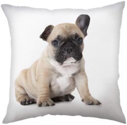 Jerry Fabrics Pernă de copii cu imprimeu - Bulldog | 40 x 40 cm (24CS091)