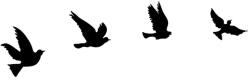 Wallity Метални декорации за стена в комплект от 4 броя 18x20 cm Birds - Wallity (899SKL2355)