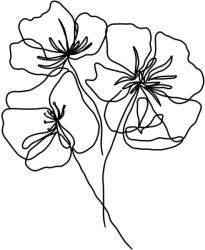 Veronika Boulová Постер 29x41 cm Black Poppy - Veronika Boulová (vboulova.16)