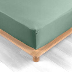 douceur d'intérieur Зелен еластичен чаршаф от памук перкал 160x200 cm Percaline - douceur d'intérieur (1644647)