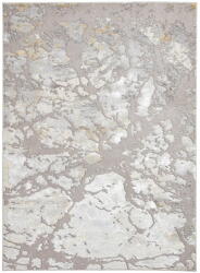 Think Rugs Сив/златист килим 170x120 cm Apollo - Think Rugs (APO2677GRYGLD1217)