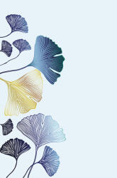 Editor Képeslap 11, 5x17, 4 cm A Vos Plumes Ginkgo (AAD588)