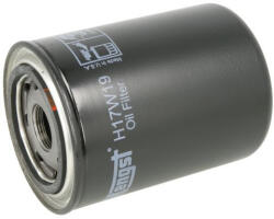  H17W19 Hengst olajszűrő (H17W19)